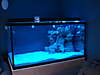 New_tank_003.jpg