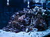 New_tank_014.jpg