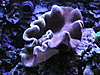 P1010020.JPG P1010020.JPG