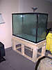 P1010085.jpg