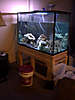 P1010099.jpg