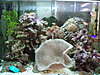 P9010037.JPG