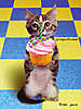 birthday_cupcake.jpg