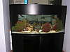 fish_002.jpg