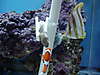 fish_004.jpg