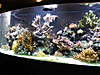 march9pics_003.jpg march9pics_003.jpg