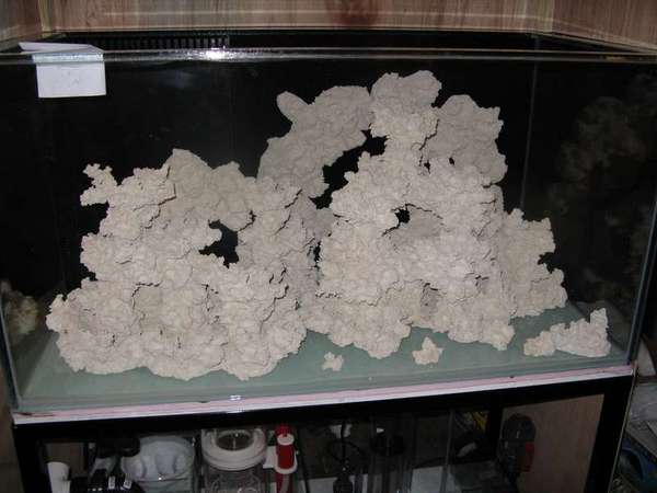 Ceramic in Tank