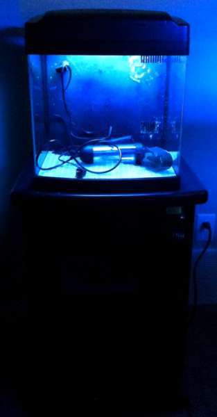 Oceanic Bio-Cube for sale