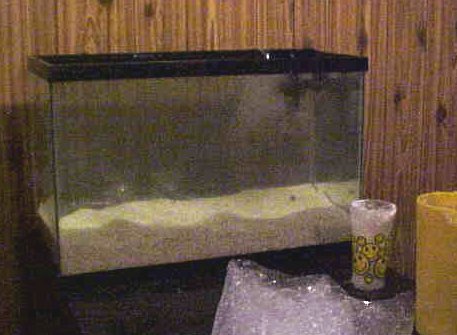 753tank