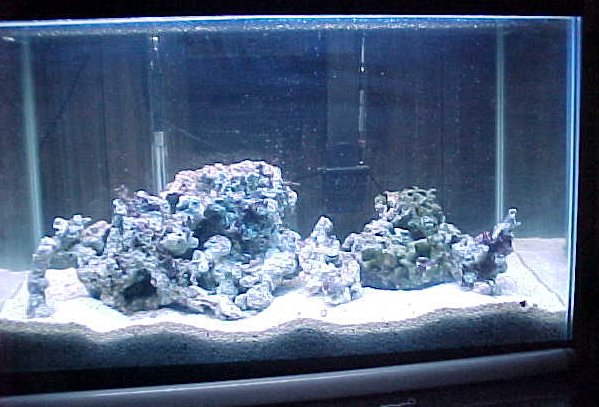 753tank1