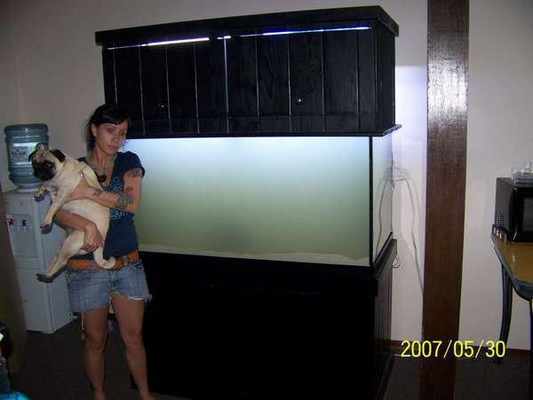 my first 120 gallon tank