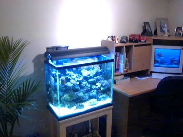 My First Tank