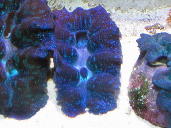 fish_picture_2005_sep_028