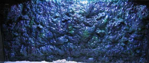 foamwall