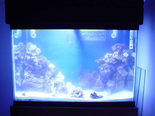 new 65 tank shot
