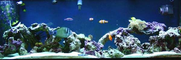 125 gal