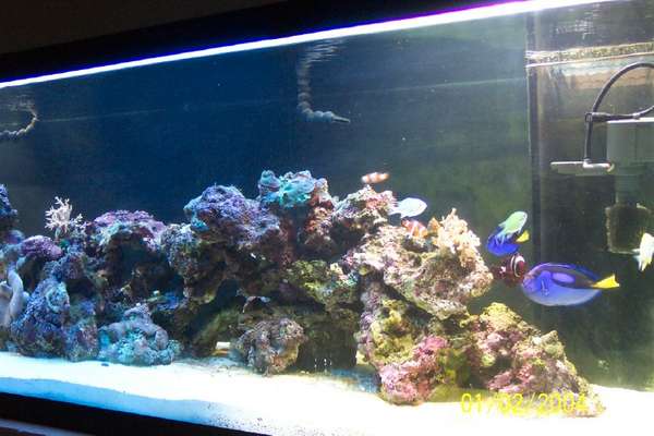 180 g tank