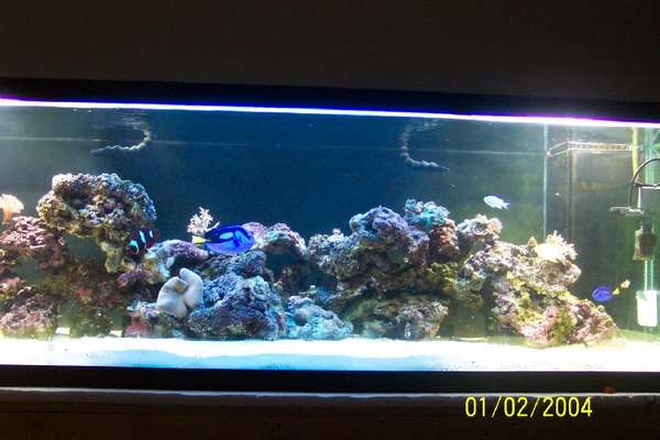 new 180g tank