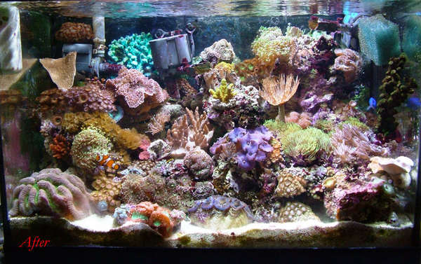 Full-tank-01-22-2005-before