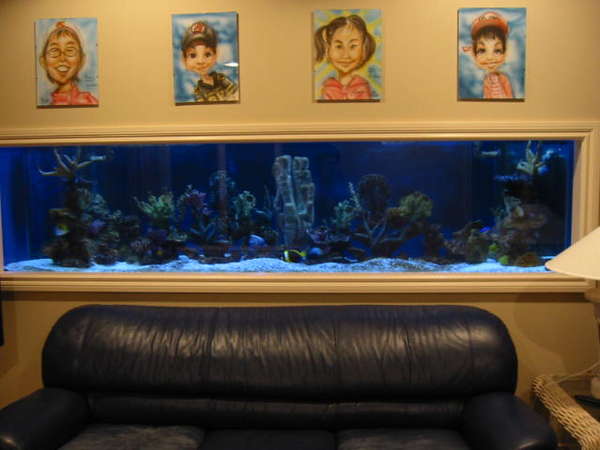 My 500 gallon Aquarium