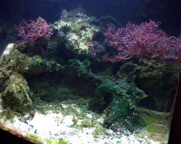 DSC00003