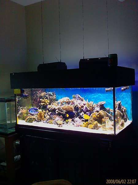 100 Gallon Tank