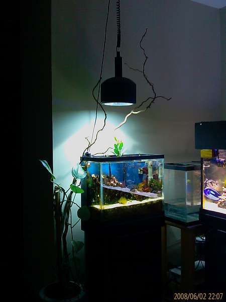 15 Gallon Fuge