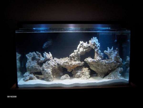 New Setup