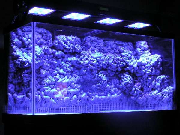 foam aquascape &amp; Solaris LED's