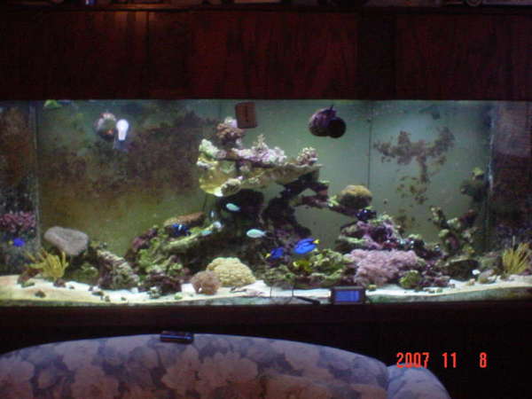 new tank shots