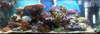9275g-panorama_2_.jpg