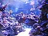 AquaScaping_535.jpg