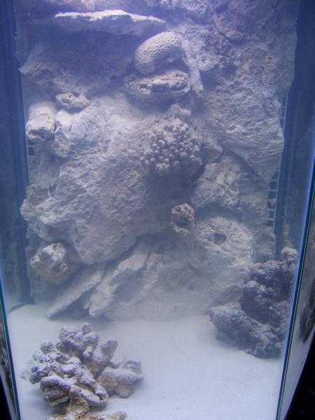 Wall in tank2