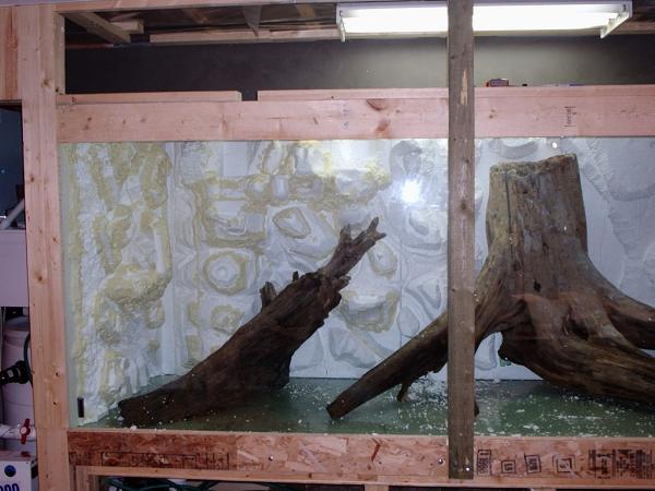 8. After all the sections were complete, they were secured into the aquarium with an epoxy.  They were very buoant, so great care had to be made to secure them.  I also added a couple more pieces of driftwood, securing them as well.