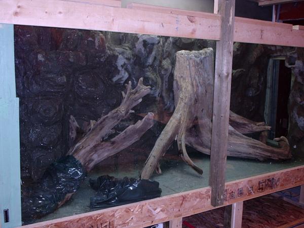 12. I covered the driftwood in order to prevent any contamination.  I also removed the substrate.  At this point, I had not finished the exterior of the aquarium.