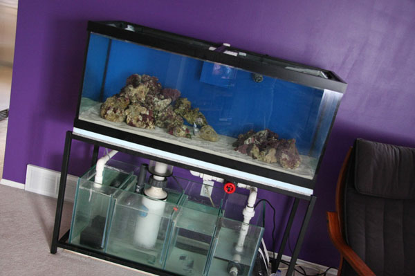 THE TANK.  About a month into my build.  September 2010.