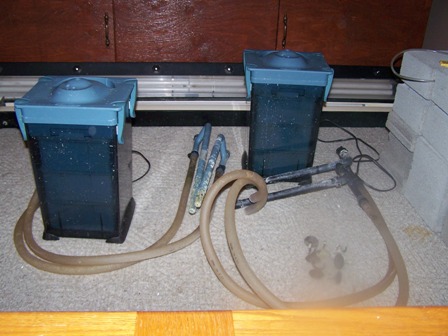 Two Rena XP 3s