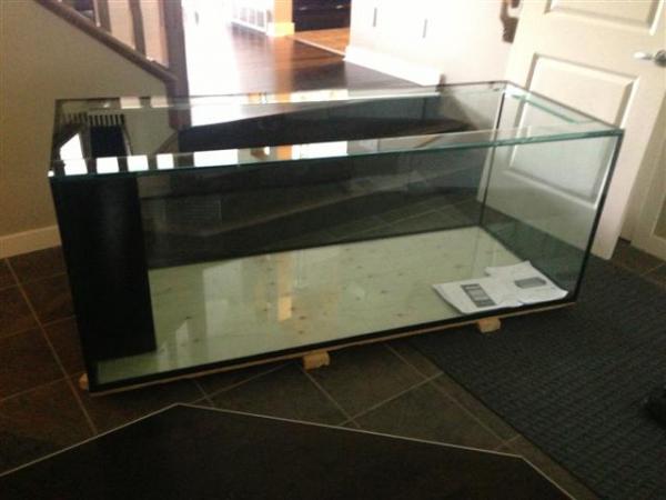 Original tank from Concept Aquariums before the move into basement, polished eurobraced peninsula tank.  72" x 28" x 28"