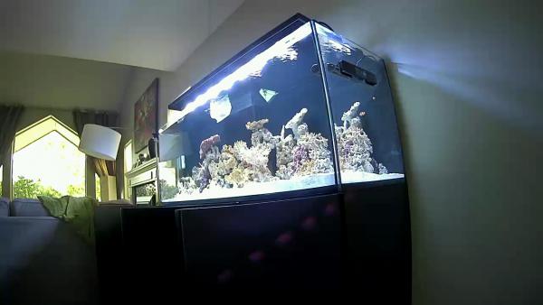 aquarium