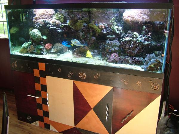 180 gallon tank with dual overflows and custom stand for sale