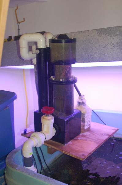 ETSS800 Skimmer and Iwaki 55RLT setup $500 for the pair. Has stock air ventury, also have 2 becketts available if someone wanted to modify, never bothered. Worked great on my 500g setup.