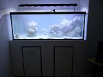 150 gal coral beginner tank