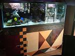 180 Gallon Tank and custom built stand includes live rock walls $800.00