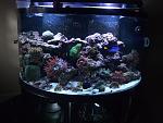 144 Gallon Half Circle Reef Tank