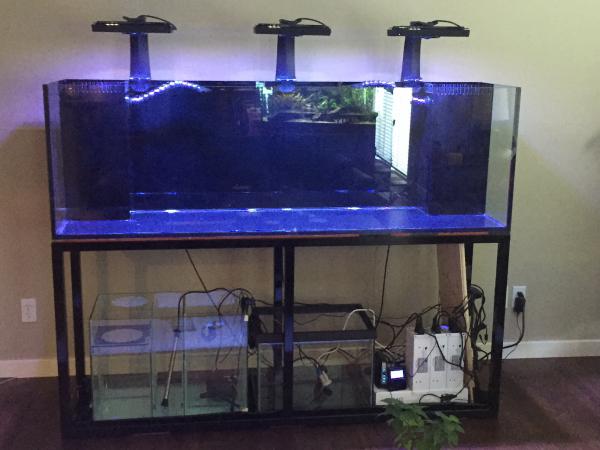 First Light! Radions successfully connected to the APEX via the WXM module. Still needs cable management but it was first test.