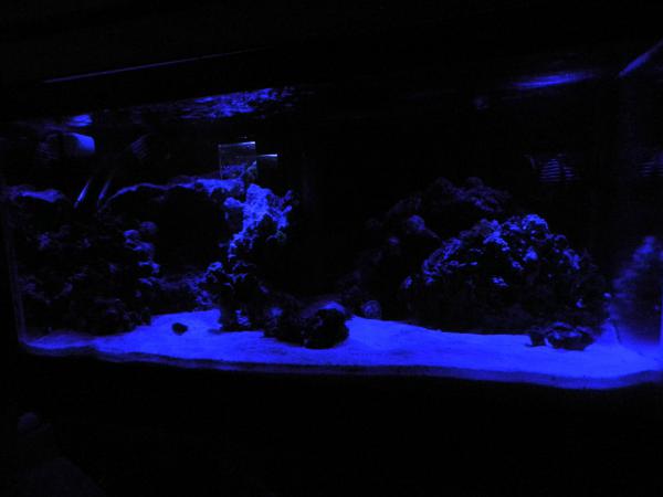 Night time on the reef (still trying to figure out lunar photographing)