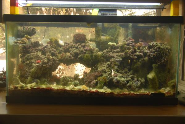 FTS early summer