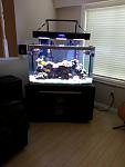 60 GALLON SALTWATER TANK FOR SALE $3500