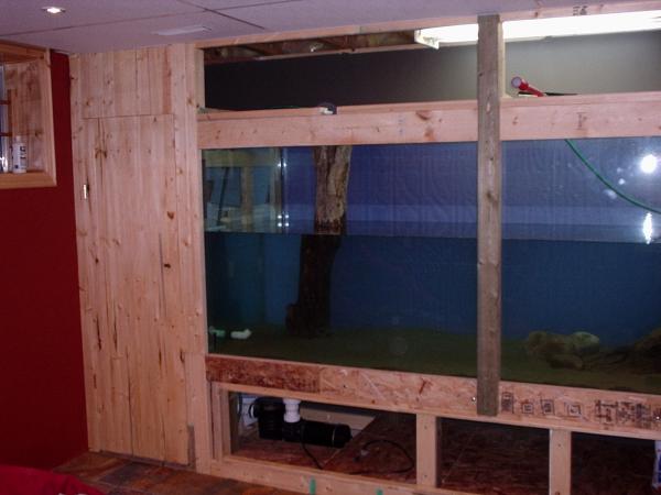 2. I don't have any photos of the stand construction, but you can kind of see it here. All re-enforced 4x4. The dimensions of the aquarium are 10' long, 3' wide, and 4' tall on a 2' stand. I wanted to build a FRESHWATER SYSTEM and it was designed as such. The glass is tempered, but I forget the thickness. It was heavy, delivered through the basement window with friends who 'believed'! The filtration system is on the left behind the door. I placed a large pump underneath, as well as a modified 220v hot-tub heater to maintain a constand temperature. Aboive the aquarium was eventually tiled and vented into the houses furnace system to draw off excess moisture, and act as a humidifier for the house. Fluorescent and pot-lighting was placed above for the construction phase. I had 4 holes drilled out in the back and two on either end for water flow, and plumbed with 1.5 inch pvc pipe