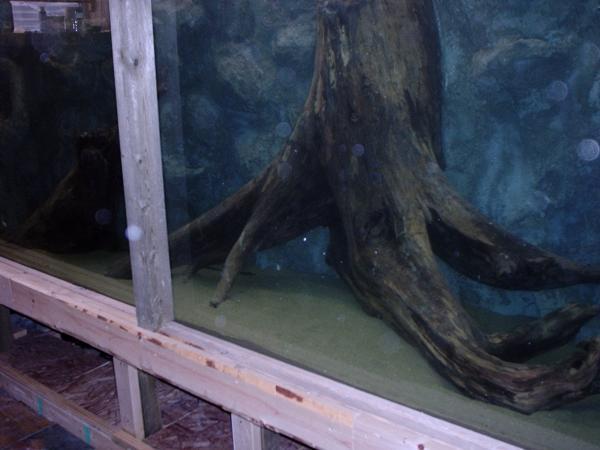 17. I added a large amount of water softener salt in order to cure the concrete, making it stronger then originally planned.